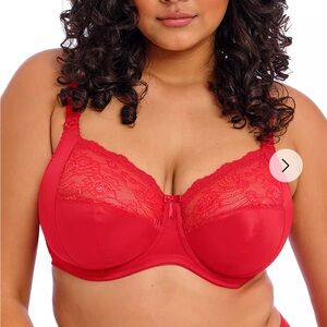 Elomi Vibrant Red Lace Bra